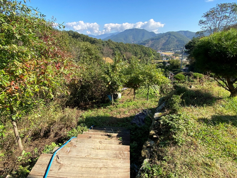 1635040464530_12.jpg