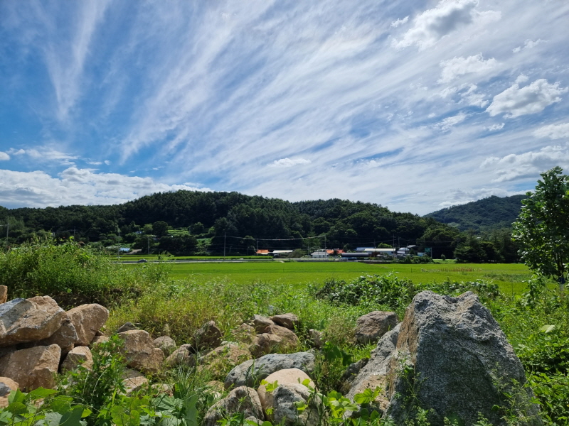 20220902_143137.jpg