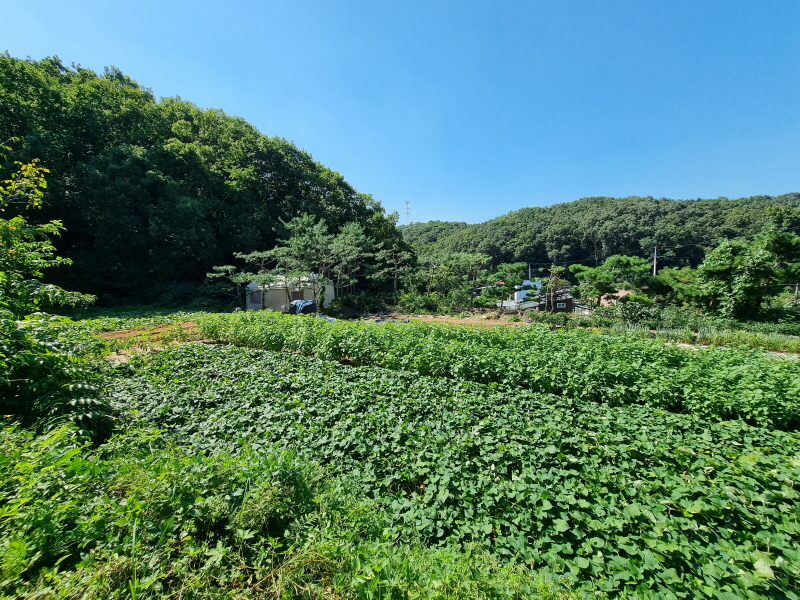 20220907_141809.jpg