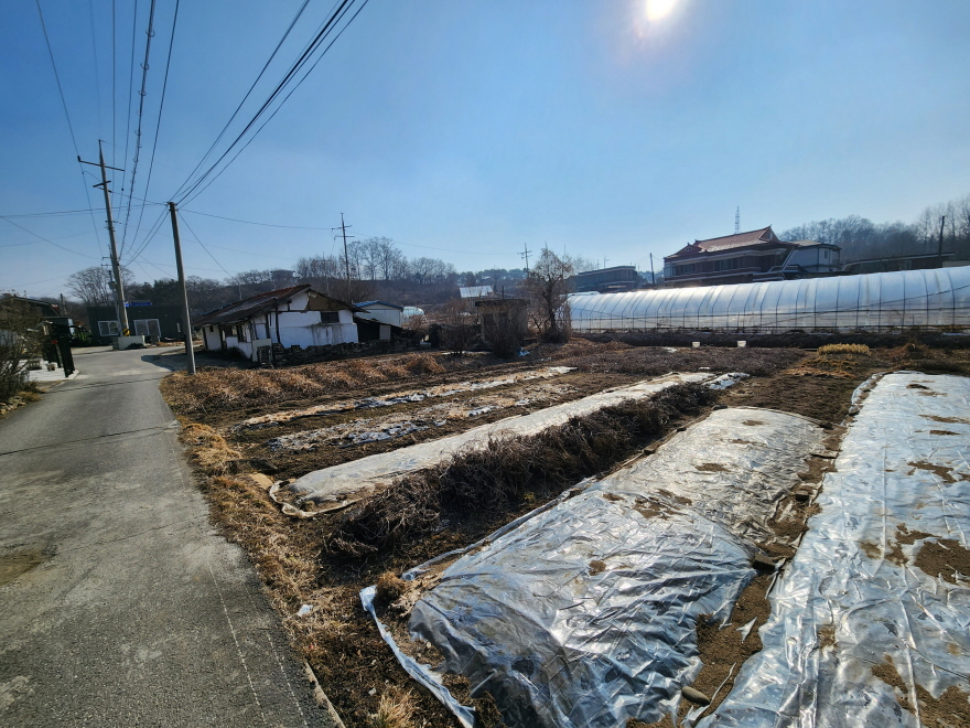 20240129_113340.jpg