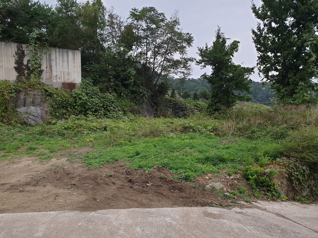 20201003_173154.jpg