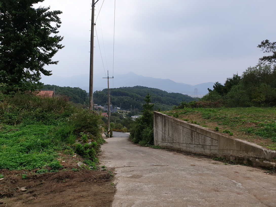 20201003_173141.jpg