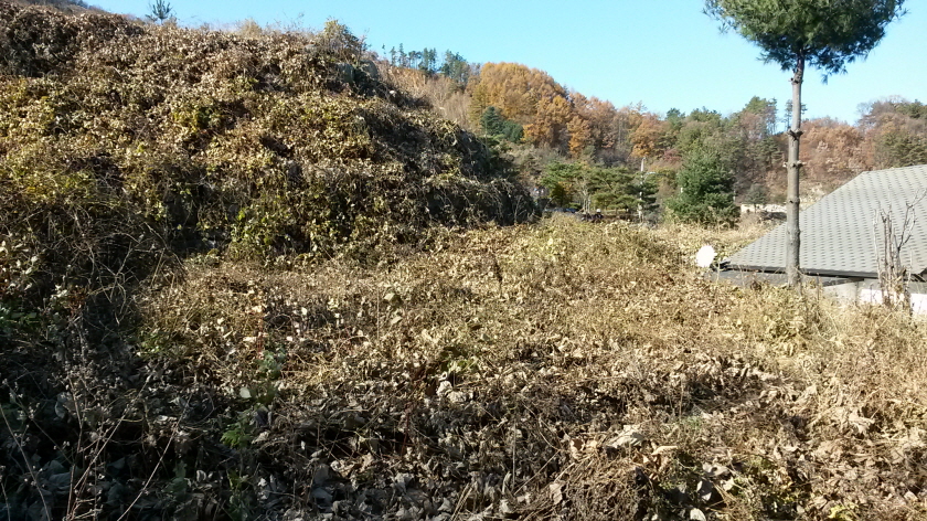20141113_133903.jpg