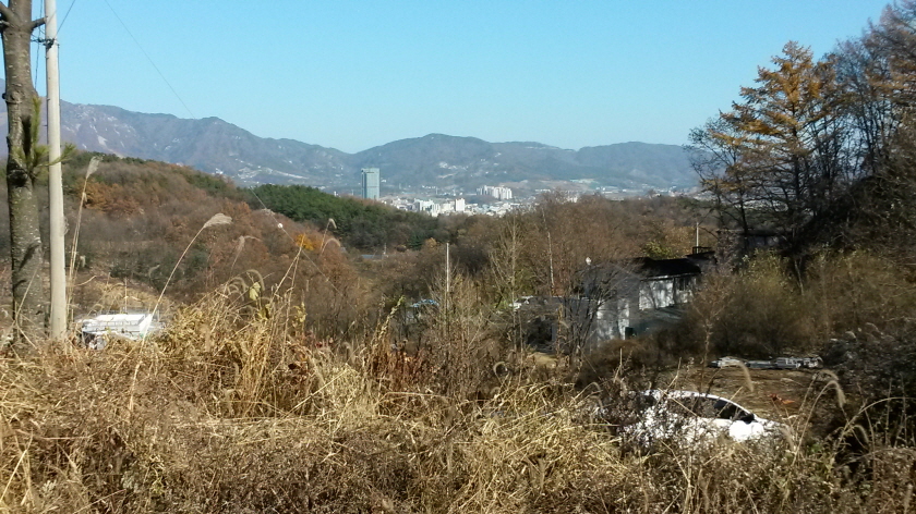 20141113_133917.jpg