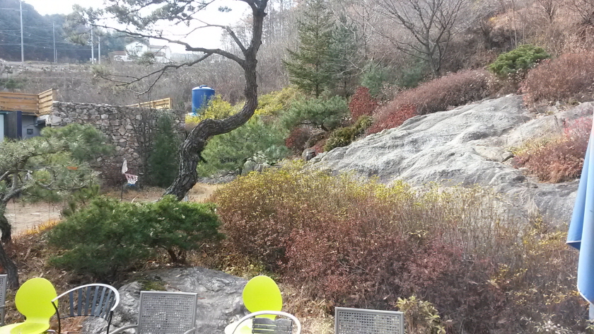 20141125_114244.jpg