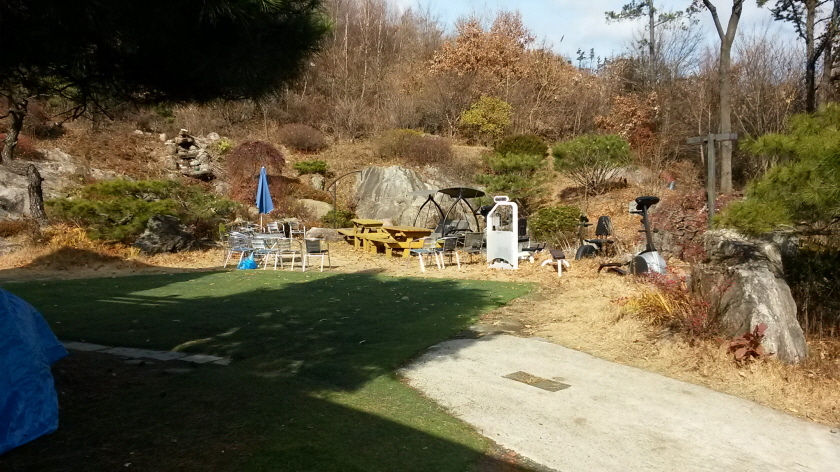 20141125_114723.jpg