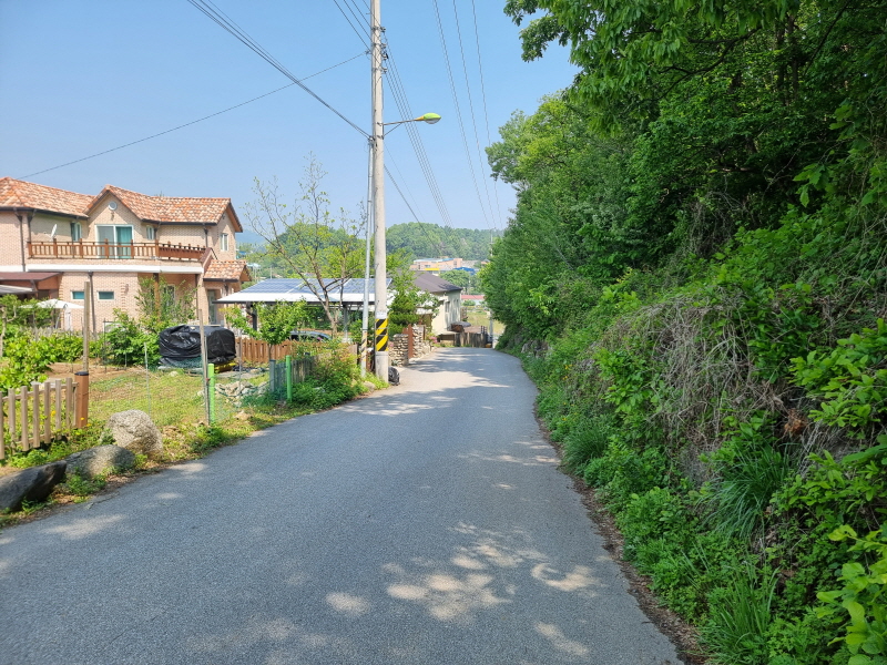 20250512_102446.jpg
