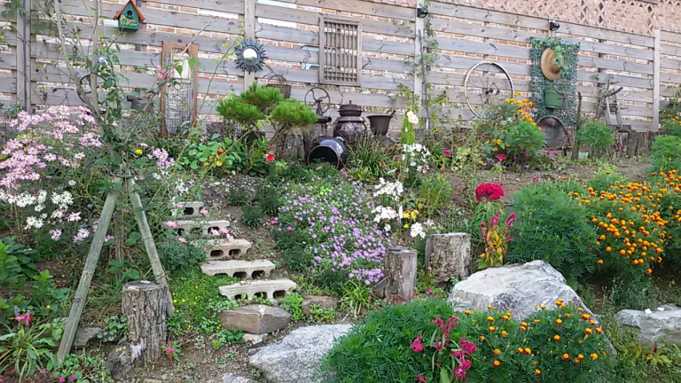 20161006_093145.jpg
