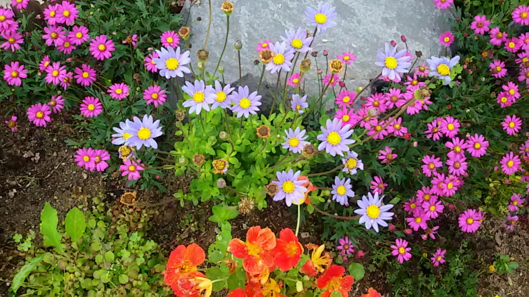 22222(2016.06.11).jpg