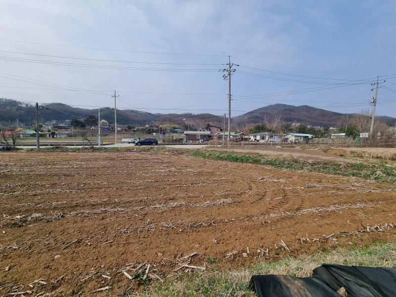 20260401_101554.jpg